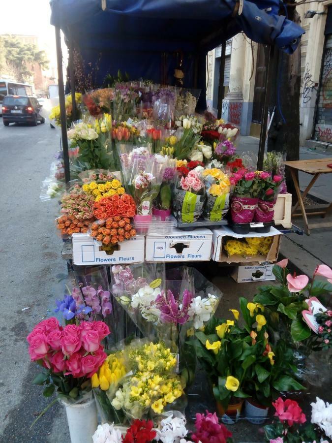 로마 맥스 하우스 B&B 외부 사진